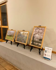 展示の様子